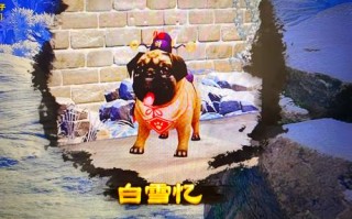 剑三故园风雨攻略，剑三故园风雨攻略视频