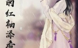 妃常攻略我为王爷洗战袍（妃常给力王爷有喜了）