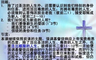 深入了解王者荣耀：麦哲伦的战术策略与技巧解析