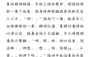 攻略文有肉 - 攻略文是什么