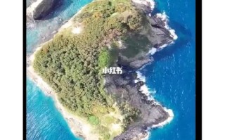 深入了解王者荣耀爱心岛：策略与技巧解析