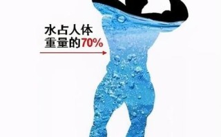 "王者荣耀教学图片"：提升游戏技巧的艺术