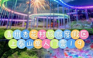 杏花村攻略（杏花村玩什么）