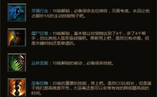 暗黑3巫医攻略（暗黑三巫医玩法）