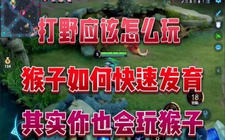 猴子最强出装王者荣耀，猴子出装王者荣耀2020