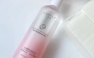 王者荣耀全敏水路玩家的策略与技巧