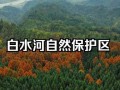 白水河攻略 - 白水河风景区游玩攻略