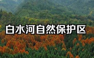 白水河攻略 - 白水河风景区游玩攻略