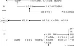 王者荣耀回血流教学：策略与技巧
