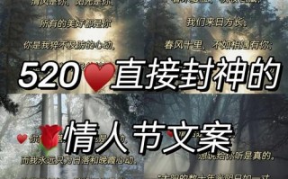 策划的爱攻略，策划的爱20