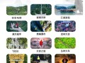 侠天下攻略（侠天下游玩攻略）