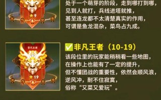 王者荣耀打野教学 - 王者荣耀打野教学课程