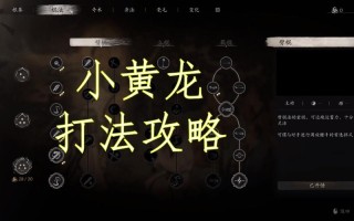 王者荣耀打龙教学，王者打龙debuff