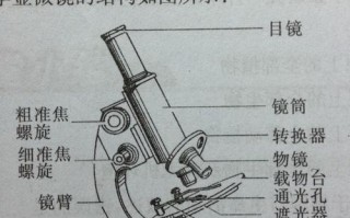 王者荣耀中的高倍镜教学：策略与技巧