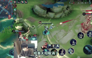 王者荣耀隐身bug教学（王者然后隐身）