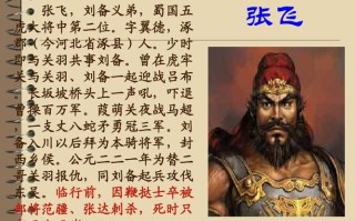 深入了解王者荣耀中的"张良教学"：策略与技巧解析