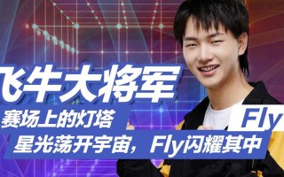 王者荣耀fly教学，王者荣耀flyid