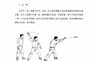 王者荣耀中的飞刀技巧与战术运用