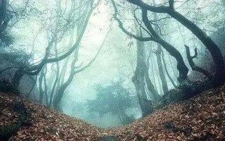 提升胜率的关键：王者荣耀探视野教学详解