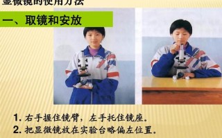 王者荣耀镜的打野策略与技巧