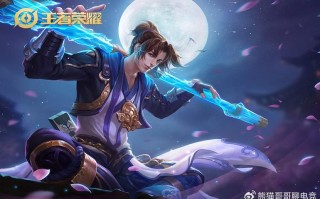 深入了解王者荣耀：寒某人教学的艺术与策略
