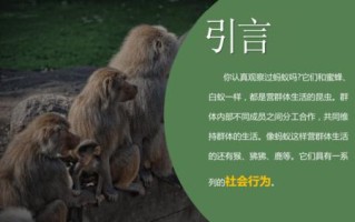 王者荣耀召唤鸟教学：策略与技巧