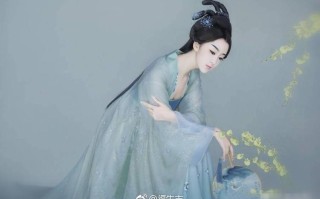 王者荣耀段云远的教学策略与技巧