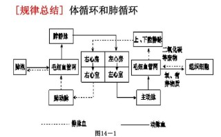 深入理解王者荣耀：用户提交的关键词——内循环教学