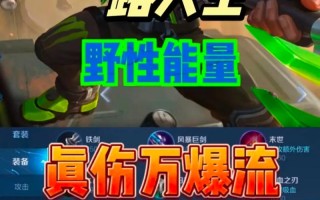 王者荣耀职业吕布玩法，王者荣耀吕布玩法基本知识