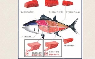 王者荣耀大鱼的出装：战无不胜，攻无不克