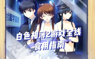 冬马te攻略（冬马ne怎么进）