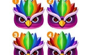 王者荣耀中的魔力鸟战术教学