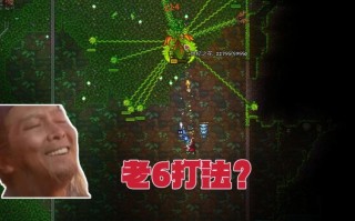 世纪花攻略（世纪之花攻略视频）