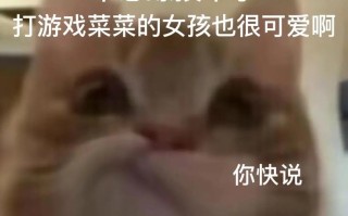 王者荣耀女友教学图文 - 王者荣耀女朋友教学图