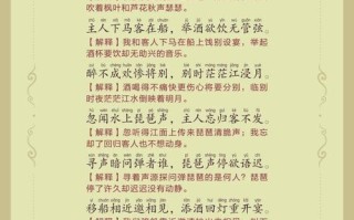 胡姬琵琶行副本攻略（胡姬琵琶行副本流程）