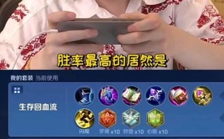 王者荣耀芬芳教学 - 王者荣耀 芳芳