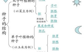 王者荣耀萌犽的出装：成就萌犽巅峰战力