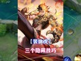 王者荣耀瓶子教学虎，王者 瓶子