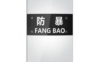 深入理解王者荣耀：防爆盾教学：提升生存能力的关键