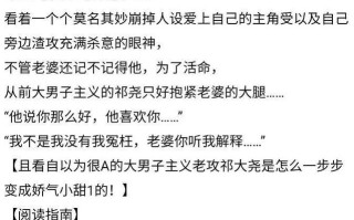 攻略主攻文（攻略系统主攻小说）