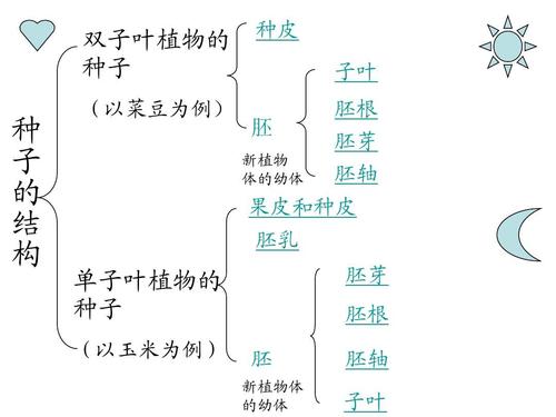 王者荣耀萌犽的出装：成就萌犽巅峰战力-第1张图片-益智游