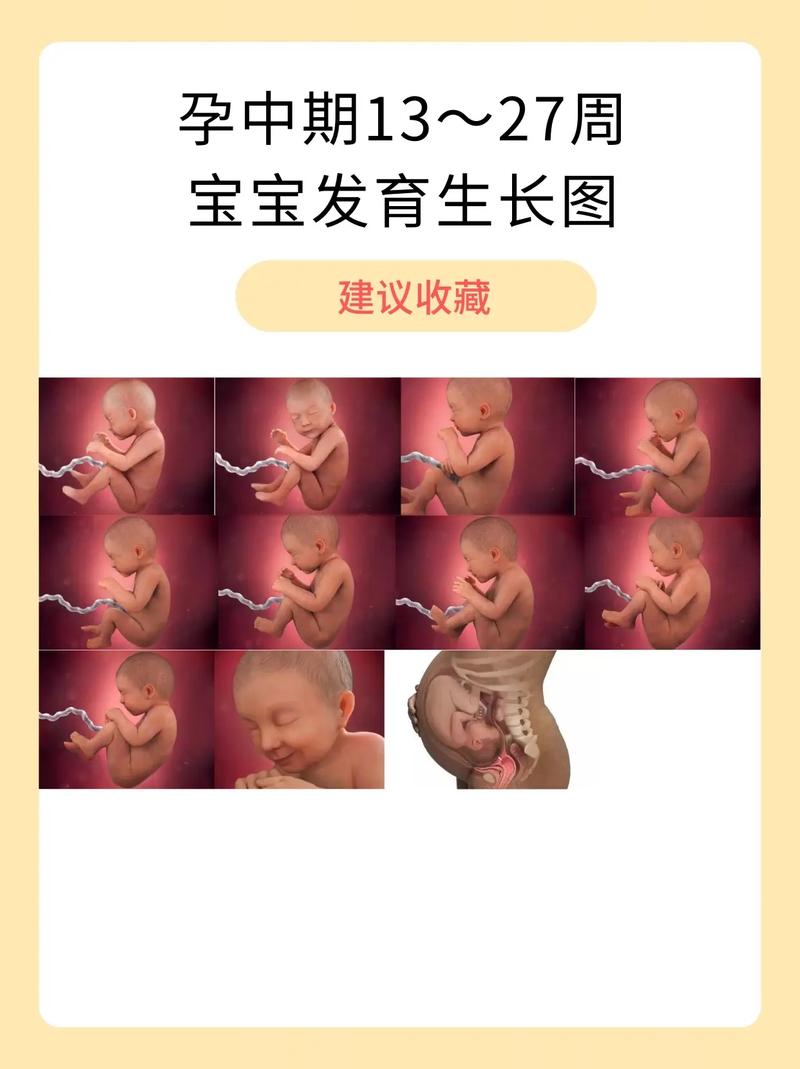 王者荣耀赵云出攻装:提升赵云输出能力的关键-第4张图片-益智游 王者荣耀赵云出攻装:提升赵云输出能力的关键-第4张图片-益智游
