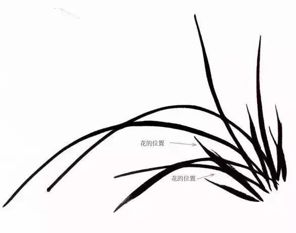 王者荣耀兰怎么出装:出装搭配一招致胜-第2张图片-益智游 王者荣耀兰怎么出装:出装搭配一招致胜-第2张图片-益智游