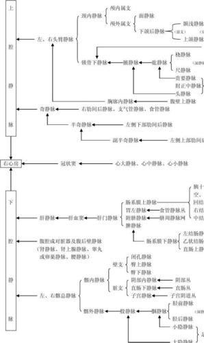 王者荣耀回血流教学:策略与技巧-第1张图片-益智游 王者荣耀回血流教学:策略与技巧-第1张图片-益智游