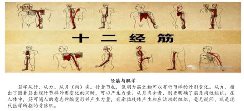 王者荣耀易筋经教学-第4张图片-益智游 王者荣耀易筋经教学-第4张图片-益智游