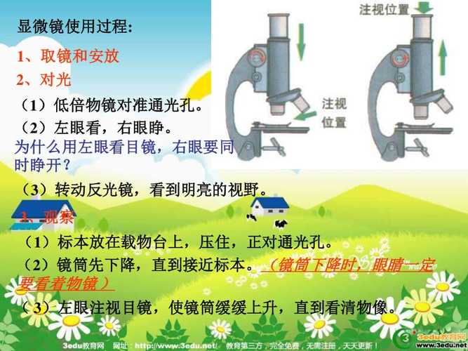 王者荣耀镜的打野策略与技巧-第2张图片-益智游