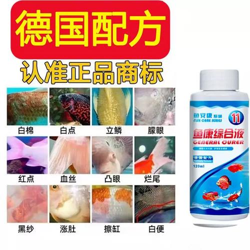 王者荣耀鱼辅助教学:提升游戏胜率的关键-第1张图片-益智游 王者荣耀鱼辅助教学:提升游戏胜率的关键-第1张图片-益智游