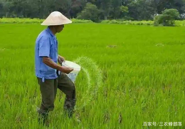 提升技巧:深入理解王者荣耀中的农民战术-第1张图片-益智游 提升技巧:深入理解王者荣耀中的农民战术-第1张图片-益智游
