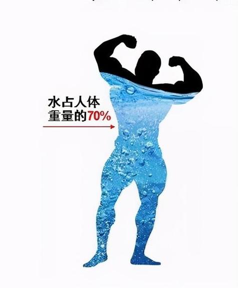 "王者荣耀教学图片":提升游戏技巧的艺术-第1张图片-益智游 "王者荣耀教学图片":提升游戏技巧的艺术-第1张图片-益智游