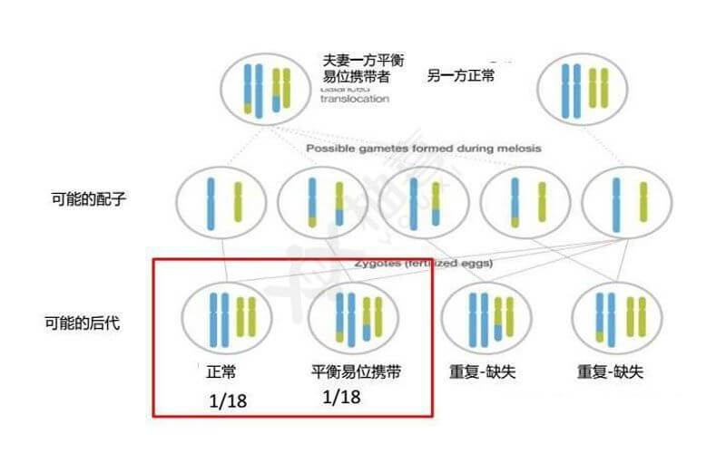 王者荣耀罗伯逊教学-第3张图片-益智游